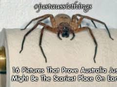 Dangerous Australian Animals | WeKnowMemes via Relatably.com
