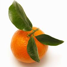 Resultado de imagem para tangerinas