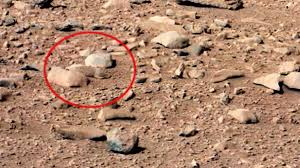 The Weirdest Images Ever Taken on Mars