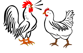 Afbeeldingsresultaat voor haan en kip