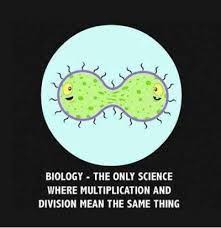 Biology Memes on Pinterest | Biology Humor, Biology Jokes and ... via Relatably.com