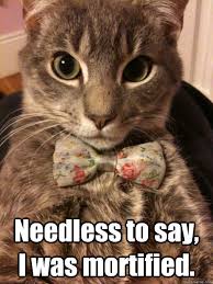 Fancy Cat memes | quickmeme via Relatably.com