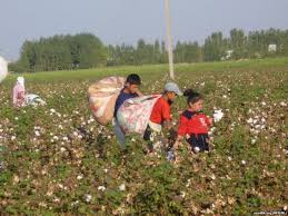 Image result for child labor in fields