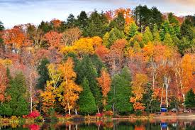 Image result for turning of the leaves in Ontario Canada