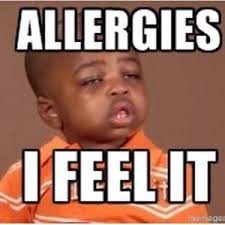 Allergy Memes | Kappit via Relatably.com