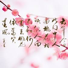 Image result for 人面桃花