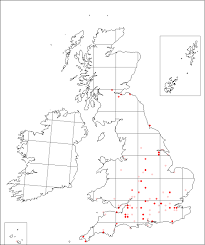 Althaea hirsuta | Online Atlas of the British and Irish Flora