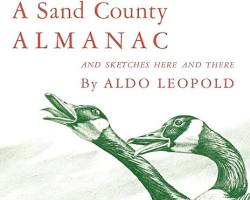Image of Sand County Almanac book