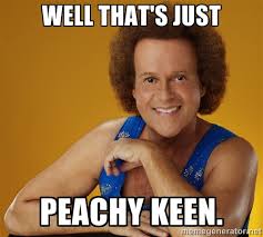 well that&#39;s just peachy keen. - Gay Richard Simmons | Meme Generator via Relatably.com