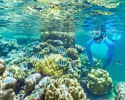 Gambar Seychelles snorkeling