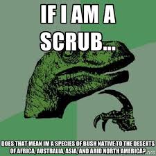 if i am a scrub... does that mean im a species of bush native to ... via Relatably.com