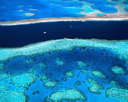 Immagine di La Grande Barriera Corallina, Australia