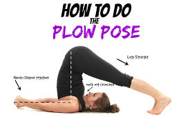 Αποτέλεσμα εικόνας για plow pose yoga