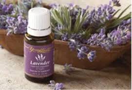 young living lavender
