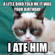 Grumpy Cat Birthday on Pinterest | Grumpy Cat Cartoon, Grumpy Cat ... via Relatably.com