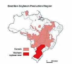 Brazil soybeans