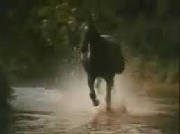 (Galloping Home) - Denis (Galloping Home) - Denis