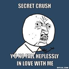 DIYLOL - SECRET CRUSH Y U NO FALL HEPLESSLY IN LOVE WITH ME via Relatably.com