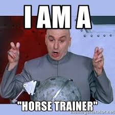 I am a &quot;horse trainer&quot; - Dr Evil meme | Meme Generator via Relatably.com