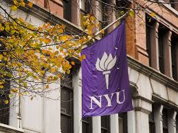 Image result for new york university
