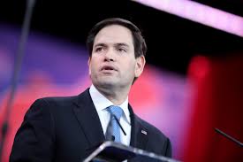 Image result for marco rubio