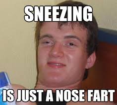Sneezing is just a nose fart - 10 Guy - quickmeme via Relatably.com