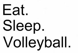 Volleyball Quotes (volleyquotes) on Pheed via Relatably.com