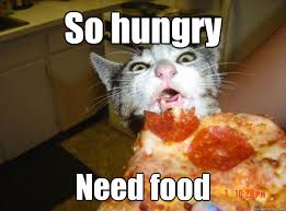 So hungry Need food - Pizza Cat - quickmeme via Relatably.com