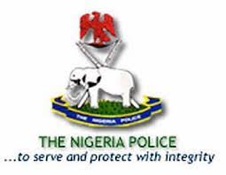 Image result for nigerian police logo