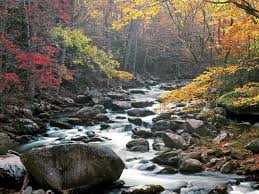 Image result for pictures of great smoky mountains national park