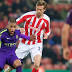 Stoke veteran Crouch wanted by Newcastle