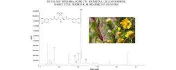 Phenolic profile and antioxidant activity of Coleostephus myconis (L ...