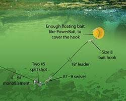 Image of Different Techniques in lake for fly fishing