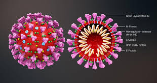 Novo coronavírus e Covid-19: associação questiona sobre medidas em Esposende
