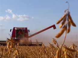 Brazil estimates over 301 mln tons in grain production for 2022-2023