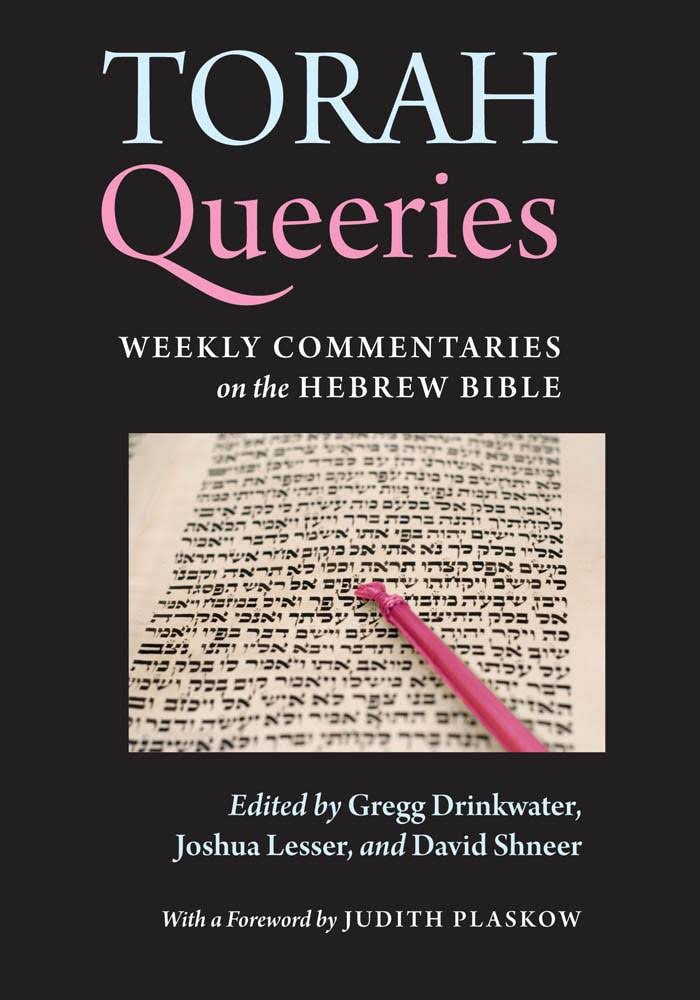The cover of Torah Queeries. There is an image of a page of the torah in the center of the cover. 
