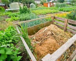 Hình ảnh về Compost for garden