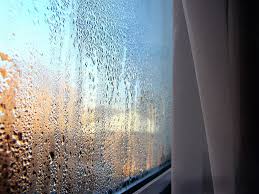 Image result for window condensation