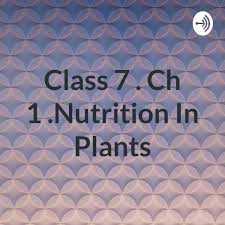 Class 7 . Ch 1 .Nutrition In Plants