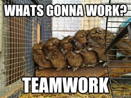 Helpful Hamsters memes | quickmeme via Relatably.com