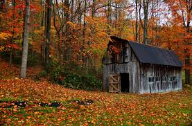 Image result for autumn photos