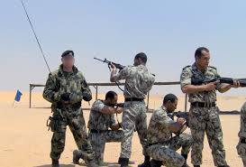 "مصر"تعلن أستعدادها للتدحل العسكرى فى "سوريا" ومخاوف من أستيلاء"الفلسطينيين على"سيناء"ومواجهة"إسرائيل"فى حرب عصابات