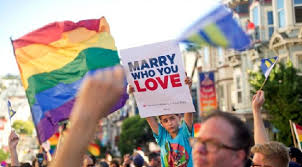 Image result for gay marriage america