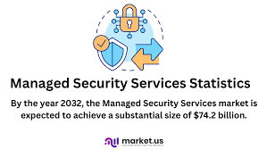 Managed Security Services Statistics: Assets and Infrastructure