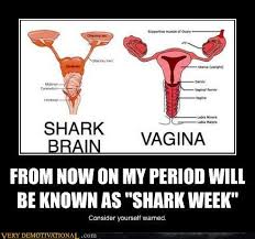 Love Shark Week? 11 Hilarious Shark Memes For Shark Lovers [PHOTOS] via Relatably.com