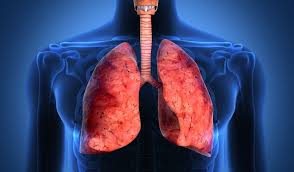 Imagini pentru Metode naturale de curatare a sistemului respirator