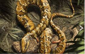 Image result for eve with serpent in the garden