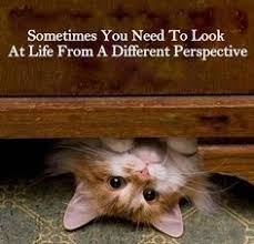 Image result for different point of view quotes