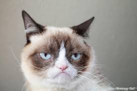 Grumpy Cat Meme Template - grumpy cat meme blank together with ... via Relatably.com