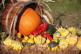 Image result for fall harvest pictures